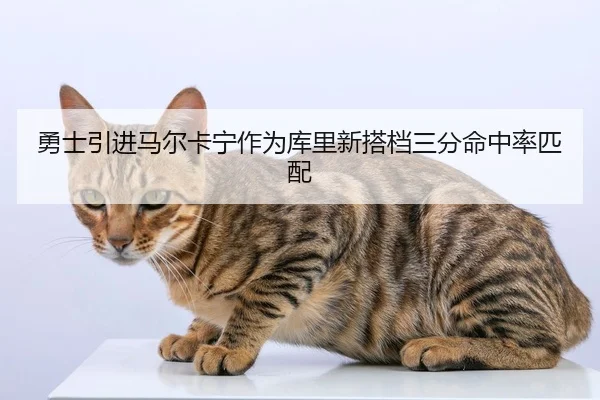 勇士引进马尔卡宁作为库里新搭档三分命中率匹配