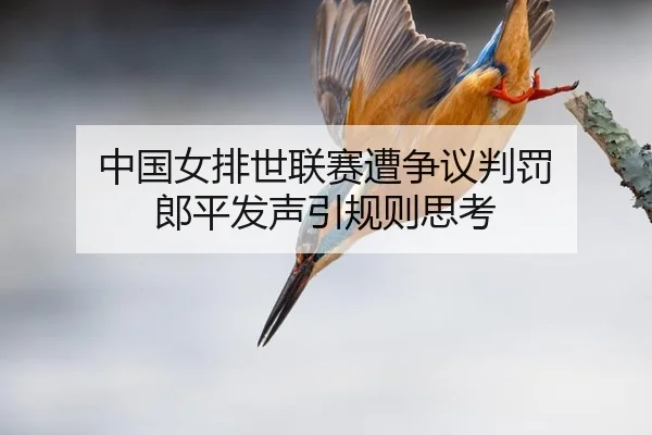 中国女排世联赛遭争议判罚 郎平发声引规则思考